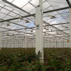 MacView Greenhouse Gas Analyser in roses